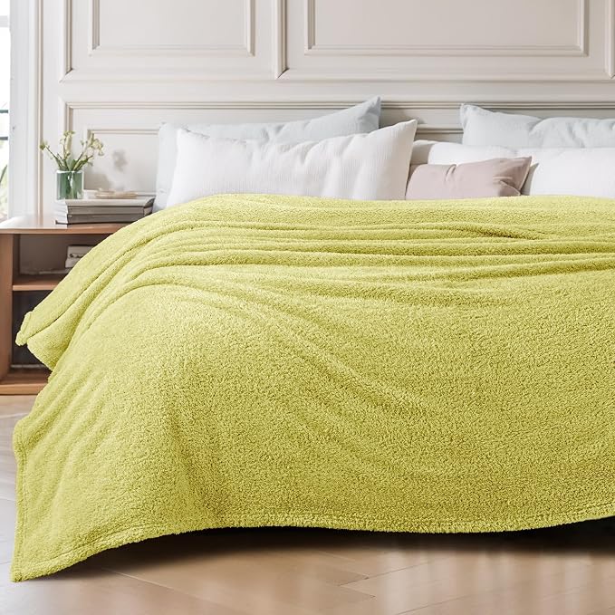Exclusivo Mezcla Fleece Twin Size Bed Blanket, Ultra Soft, Lightweight and Fuzzy Light Green Blanket for Women, Home Decor, 60x80 Inches