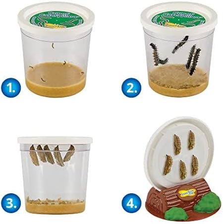 Insect Lore Butterfly Garden Kit with Live Caterpillars – Grow 10 Painted Lady Butterflies - STEM Learning Activity, Habitat with Journal, Stickers, Seeds & Figurines - As Seen on TV