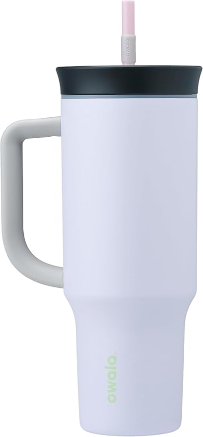Owala 40oz Insulated Tumbler and 24oz Insulated Water Bottle Bundle with Lids and Straws, Purple and Dreamy Field
