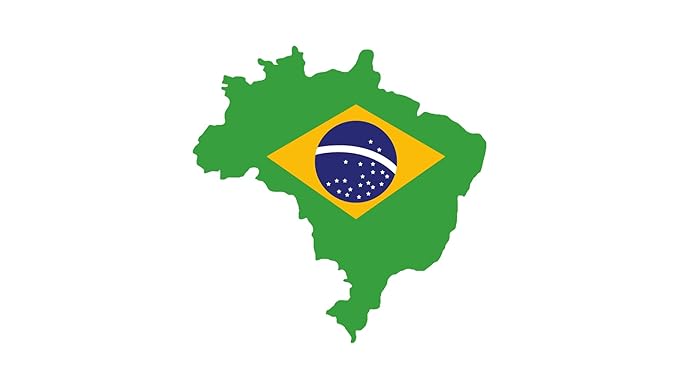 Roastika - Premium Green Coffee Bean - Brazil Cerrado - Unroasted - 20lb - Single Origin