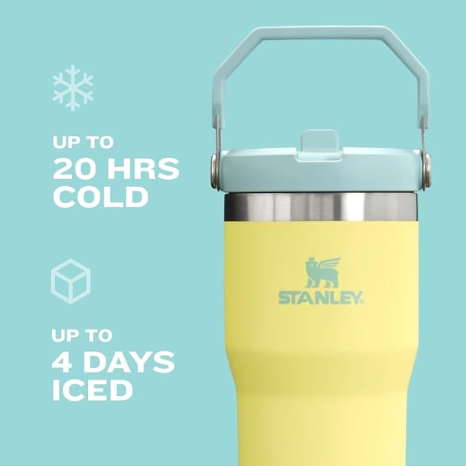 Stanley IceFlow 2.0 Flip Straw Tumbler with Handle 20 oz | Twist On Lid and Flip Up Straw | Leak Resistant Water Bottle | Insulated Stainless Steel | BPA-Free | Meadow