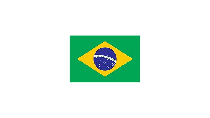 Roastika - Premium Green Coffee Bean - Unroasted - 5lb Single Origin from Brazil Cerrado