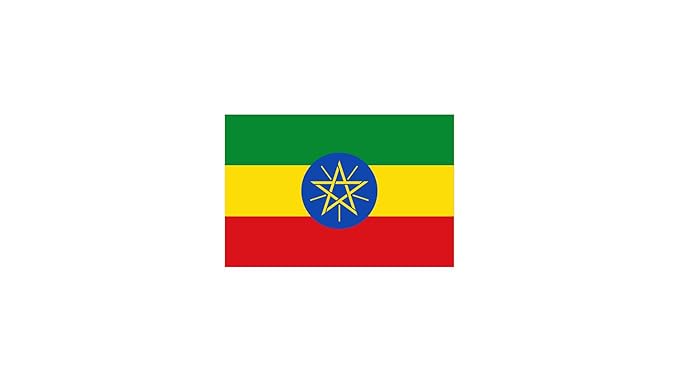 Roastika - Premium Green Coffee Bean - Ethiopia Yirgacheffe - 5lb - Single Origin - Unroasted Coffee Bean