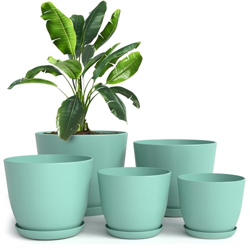 Utopia Home - Plant Pots Indoor with Drainage - 7/6.6/6/5.3/4.8 Inches Flower Pots for Indoor Planter - 5 Pack Plastic Planters - Ideal for Stocking Stuffers or Home Christmas Decorations - Aqua