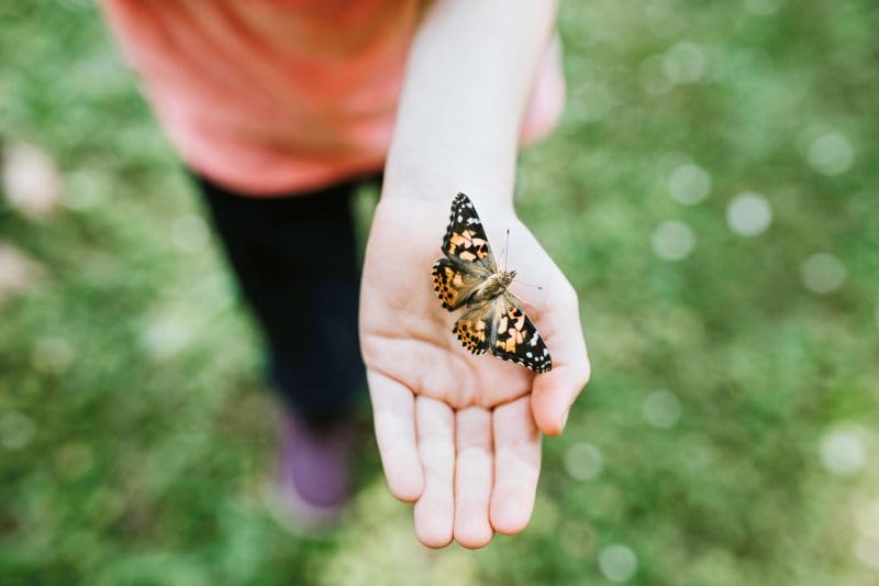 Insect Lore Butterfly Garden Kit with Live Caterpillars – Grow 10 Painted Lady Butterflies - STEM Learning Activity, Habitat with Journal, Stickers, Seeds & Figurines - As Seen on TV