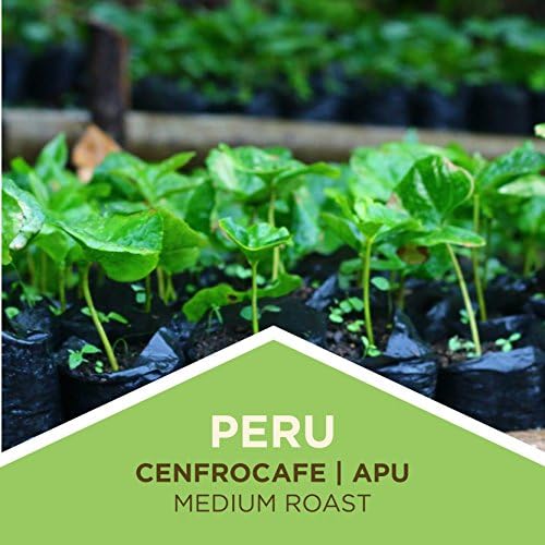 Tiny Footprint Coffee - Fair Trade Organic Peru APU Medium Roast - Whole Bean Coffee, USDA Organic & Carbon Negative - You Drink Coffee, We Plant Trees, 3 Pounds