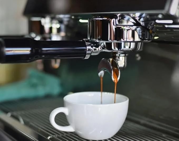 58mm Portafilter Double Spout Compatible with E61 Group Head, 2 ears 58mm Portafilter with Filter Basket and ABS Handle