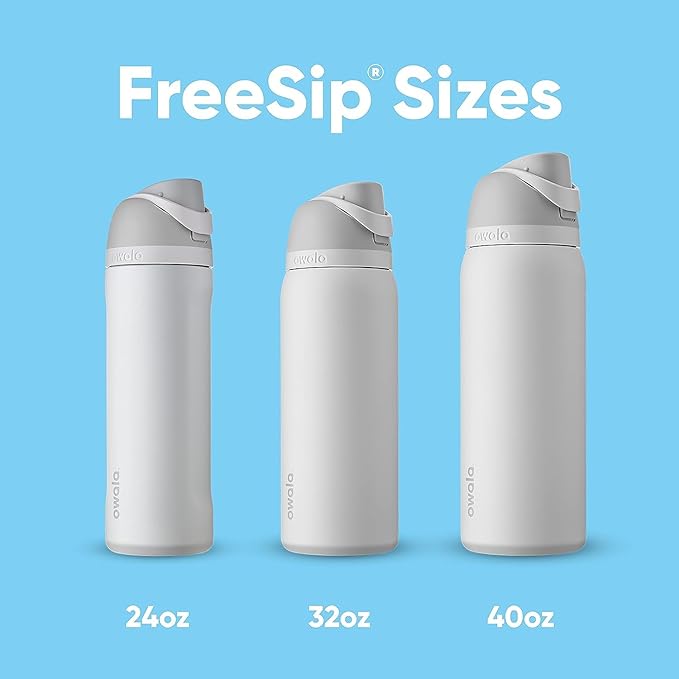 Owala FreeSip Insulated Stainless Steel Water Bottle with Straw, BPA-Free Sports Water Bottle, Great for Travel, 24 Oz, Water in the Desert