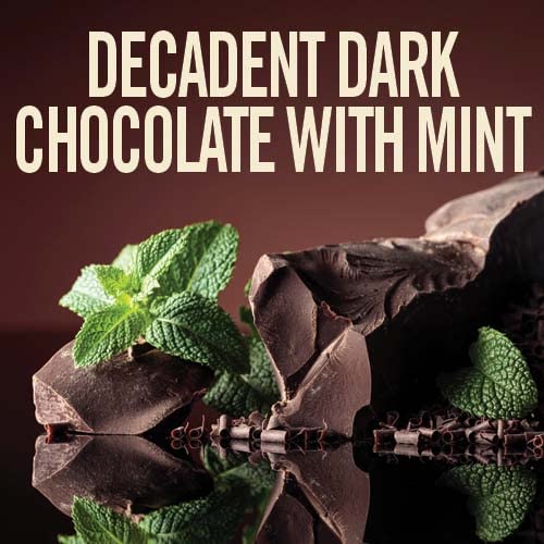 Castle Kitchen Marvelous Mint Dark Chocolate Hot Chocolate - Dairy-Free, Vegan Premium Hot Chocolate Mix - Just Add Water - 14 oz (Pack of 2)