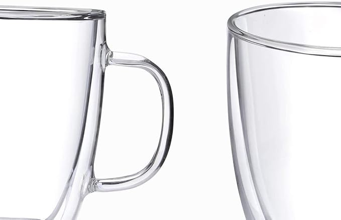 DeFancy Double Wall Coffee Mug 17 oz Insulated Borosilicate Glass Coffee Cup with Handle and Lid