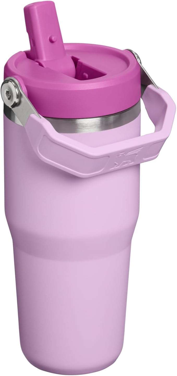 STANLEY IceFlow 2.0 Flip Straw Tumbler with Handle 14 oz | Twist On Lid and Flip Up Straw | Leakproof Water Bottle | Insulated Stainless Steel | BPA-Free | Soft Orchid