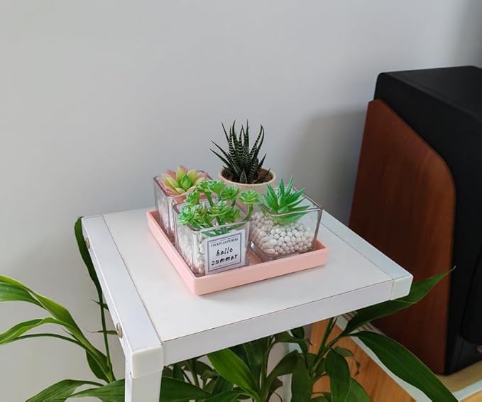Small Square Tray (5.9 inch) 3 Pack, Durable Pink Tray for Desserts & Organization, Lightweight for Coffee, Drinks, Party, Seasoning, Perfume and Display.