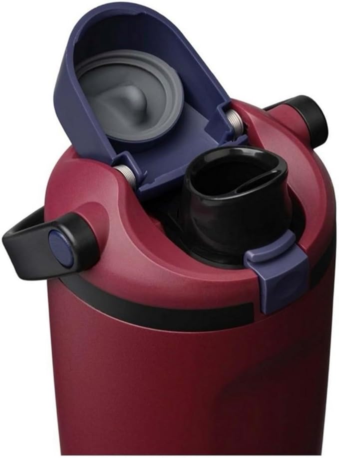Owala FreeSip Sway Stainless Steel Insulated Tumbler with Straw, Burgundy Bay, 30 oz