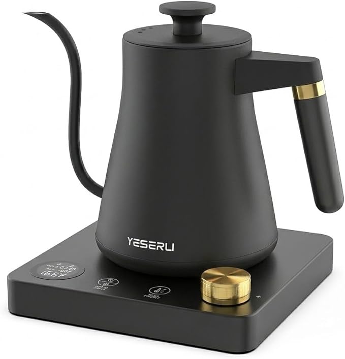 Expert Brew Electric Pour-Over Coffee Kettle, 1.0L Variable Temperature Water Heater (104-212°F) for Barista Brewing, 304 Stainless Steel Interior, Fast Boiling & 1200W Rapid Heat, Matte Black Finish
