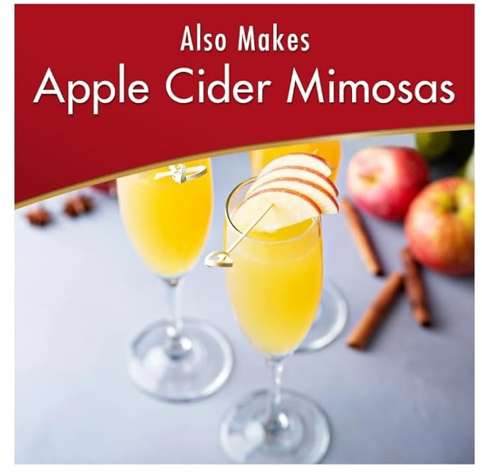 Spiced Apple Cider Instant Drink Mix (Pack of 2)