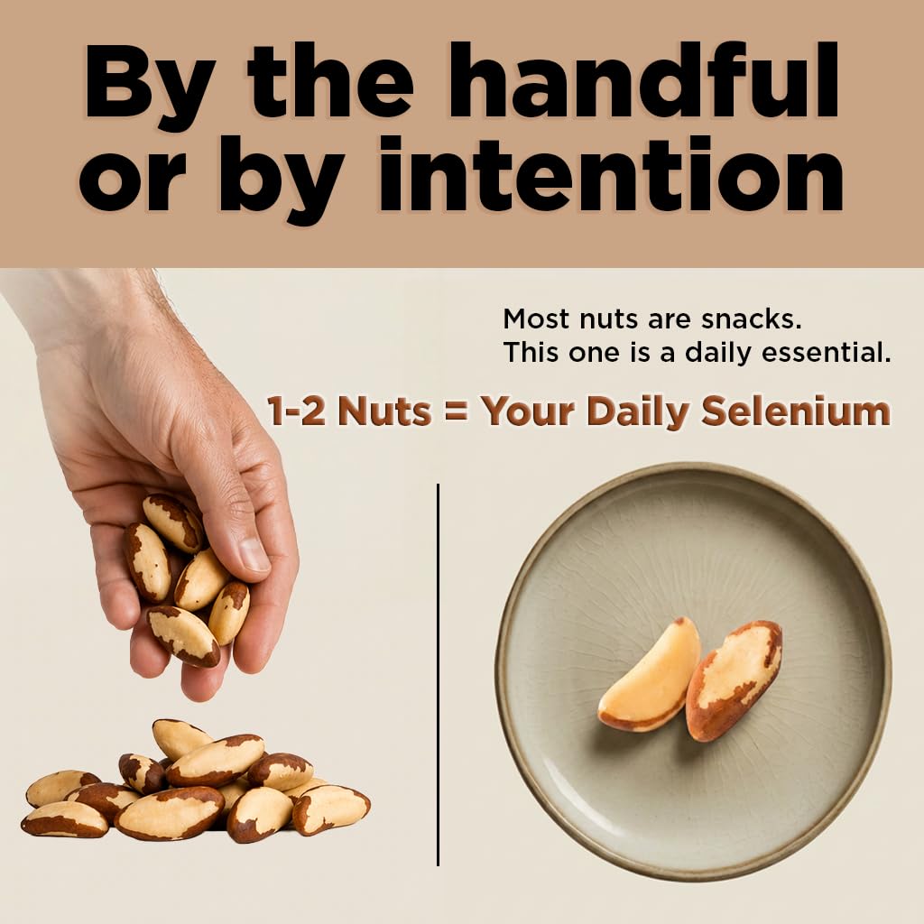 Premium Wild Harvested Raw Brazil Nuts, (8oz) - High Selenium, Batch Tested Peanut & Gluten Free, Non-GMO, Kosher, Resealable Bag
