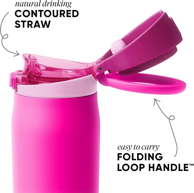 Simple Modern Mesa Loop Water Bottle with Covered Straw and Handle | 30oz Cup Holder Friendly Insulated Stainless Steel Bottles for Travel, Sports and School | Raspberry Vibes