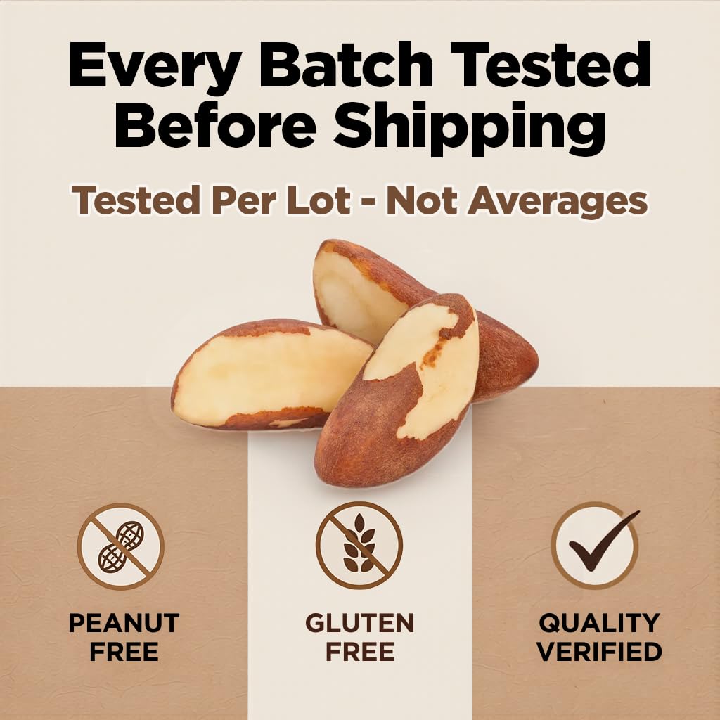 Premium Wild Harvested Raw Brazil Nuts, (8oz) - High Selenium, Batch Tested Peanut & Gluten Free, Non-GMO, Kosher, Resealable Bag