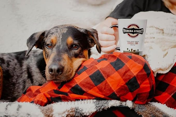 Verena Street 5 Pound Whole Bean Coffee, Medium Roast, Julien's Breakfast Blend, Rainforest Alliance Certified Arabica Coffee