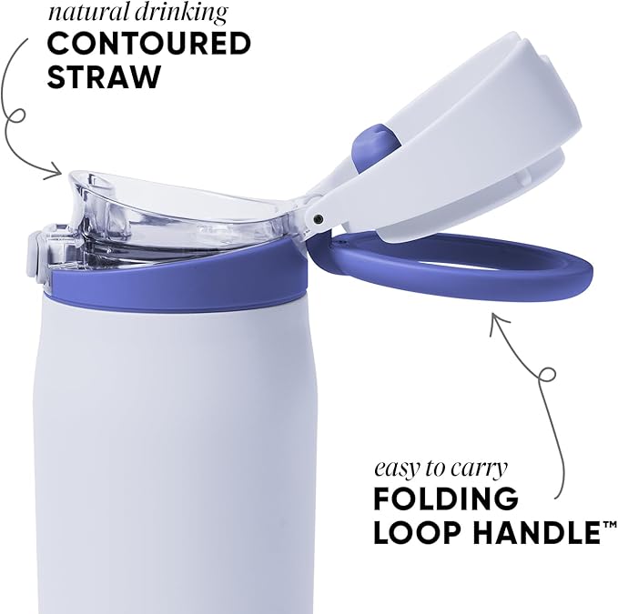 Simple Modern Mesa Loop Water Bottle with Covered Straw and Handle | 30oz Cup Holder Friendly Insulated Stainless Steel Bottles for Travel, Sports and School | Dreamscape