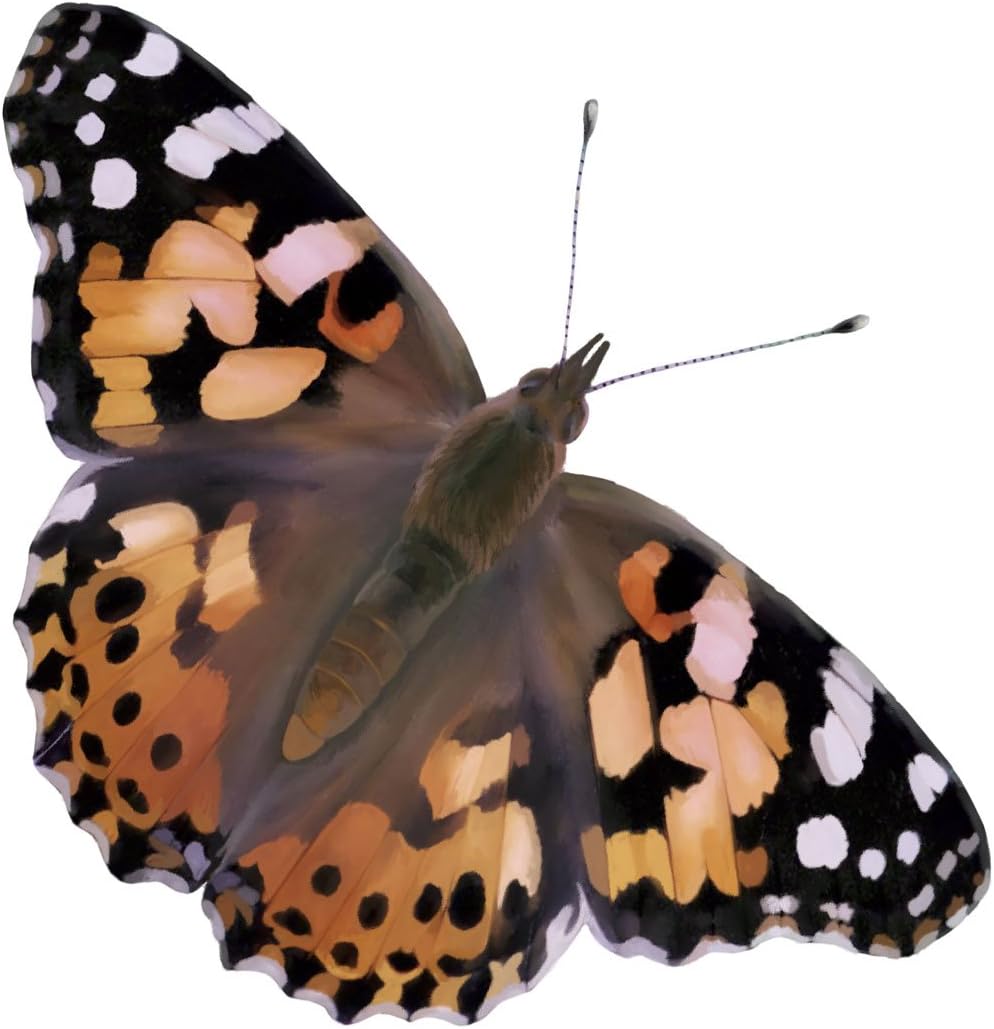 Insect Lore Butterfly Garden Kit with Live Caterpillars – Grow 10 Painted Lady Butterflies - STEM Learning Activity, Habitat with Journal, Stickers, Seeds & Figurines - As Seen on TV
