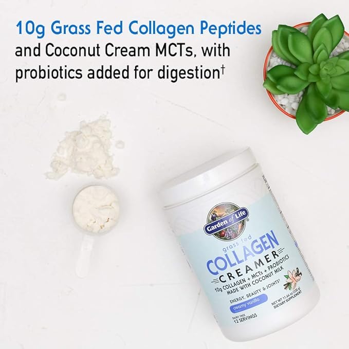 Garden of Life Grass Fed Collagen Creamer Powder - Creamy Vanilla, 12 Servings, Powder for Coffee Energy Beauty Joints, Collagen Peptides with Coconut MCTs, Keto Protein Supplements