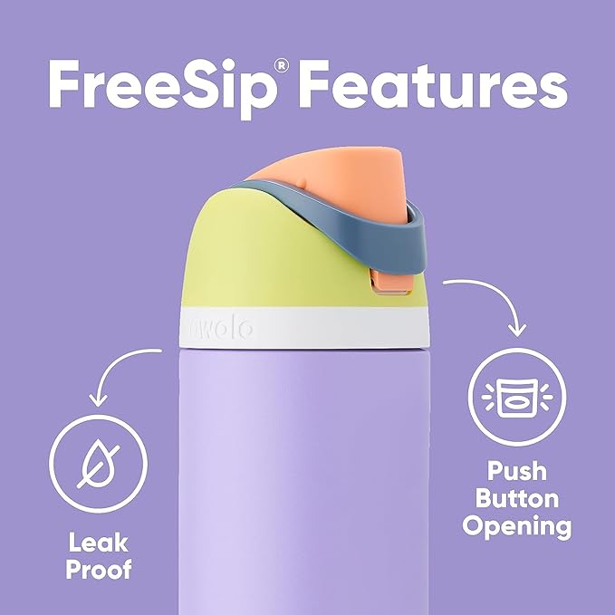 Owala FreeSip Insulated Stainless Steel Water Bottle with Straw, BPA-Free Sports Water Bottle, Great for Travel, 24 Oz, Water in the Desert