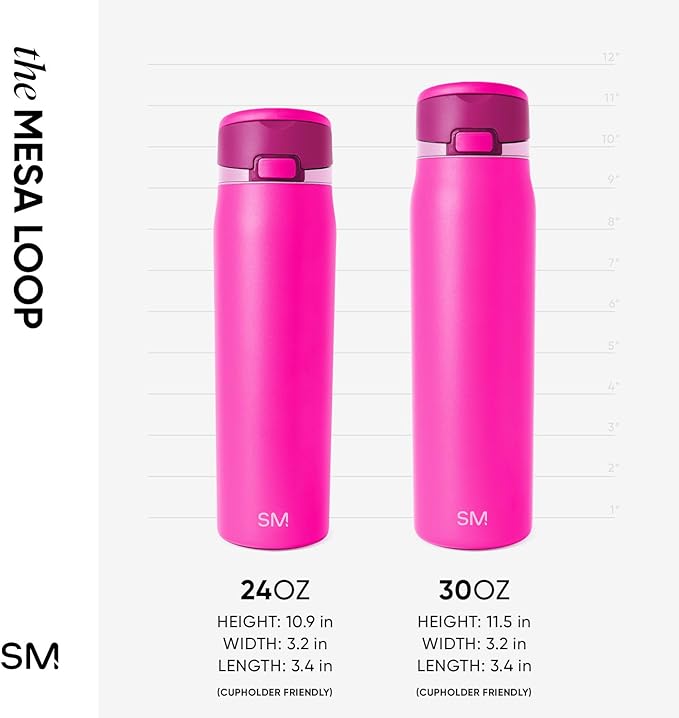 Simple Modern Mesa Loop Water Bottle with Covered Straw and Handle | 30oz Cup Holder Friendly Insulated Stainless Steel Bottles for Travel, Sports and School | Raspberry Vibes