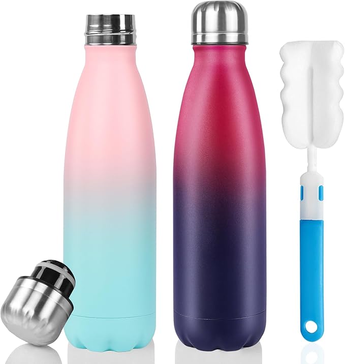 Sfee Insulated Water Bottle, 17 oz Stainless Steel Water Bottles, Double Wall Vacuum Reusable Water Bottles Leak Proof BPA-FREE Sports Bottle Cup Keep Hot&Cold for Running Gym Workout Cycling Kids