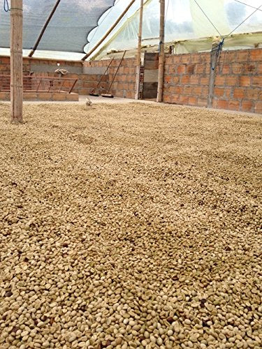 Good Times Coffee Company Green Unroasted Coffee Beans, Colombian Huila (1 Pound)