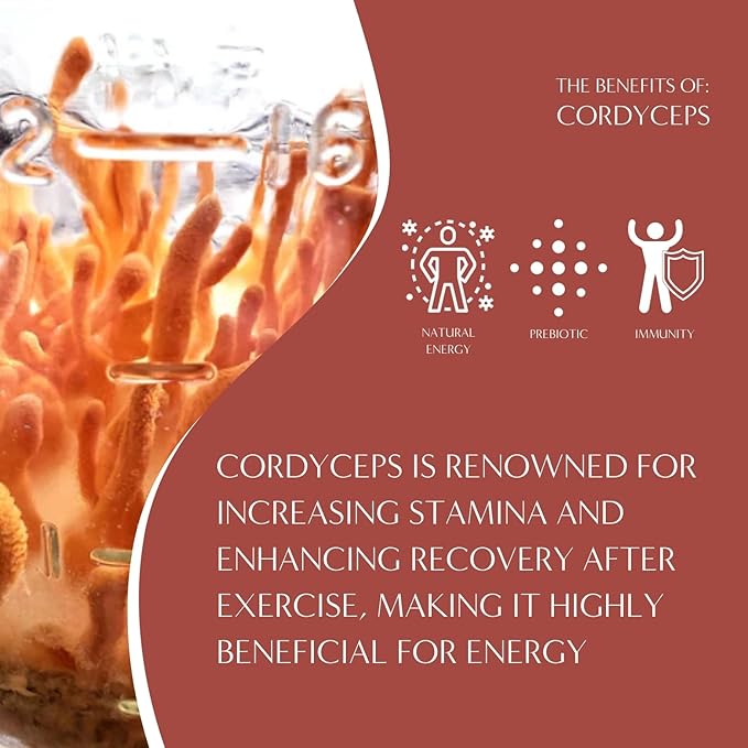 Teeccino Cordyceps Schisandra Coffee Alternative - Cinnamon Berry - Adaptogenic Herbal Mushroom Coffee, Caffeine-Free, Prebiotic, Acid-Free, Gluten-Free, All-Purpose Grind - 10 Oz