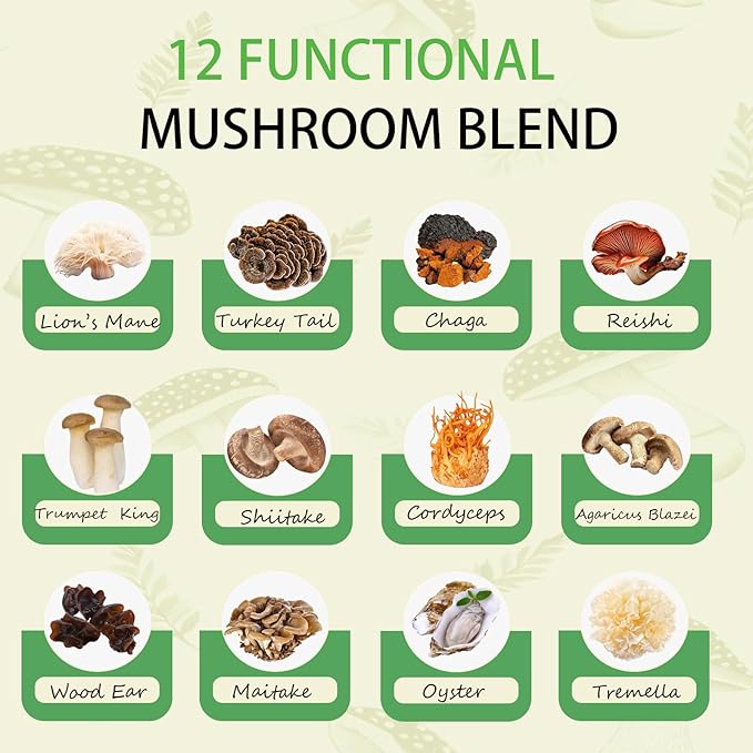 Mushroom Matcha with 12 Mushrooms with Lion's Mane, Chaga and Probiotics, Ceremonial Grade Matcha Powder for Focus, Digestion & Immunity - 30 Servings