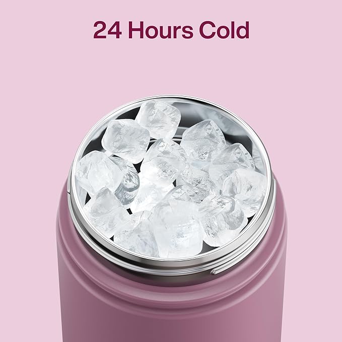 ENCOOL Insulated Water Bottle with Straw Stainless Steel Water Bottle, Leak-Proof, BPA-Free, Double Wall Vacuum Keeps Cold for 24 Hours for Sports, Travel, School (18 oz, Mountbatten Pink)