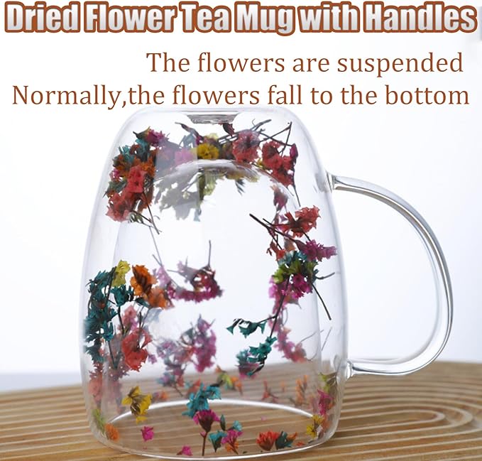 Viovian 13oz Double Wall Glass Coffee Mugs Set of 2 Insulated Glass Coffee Cups with Handles,Clear Dried Flower Tea Mug for for Hot Beverages,Tea Cup Women Birthday Gifts