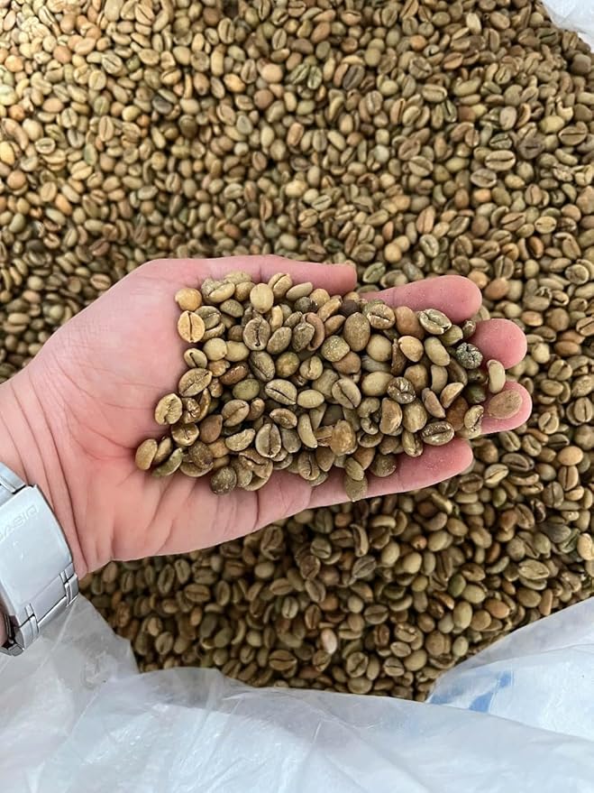 Excelsa Coffee – Vietnam Green Coffee Beans, Unroasted, 5 lbs | Rare Species, Home Roasting, Bright Fruity Flavor, Low Caffeine