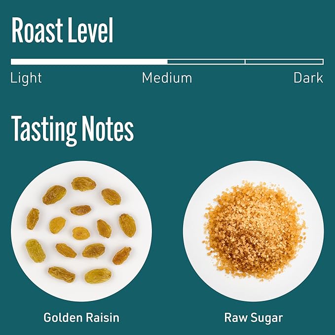Intelligentsia Coffee, Medium Roast Whole Bean Coffee, 100% Arabica Coffee - Frequency Blend 12 Ounce Bag