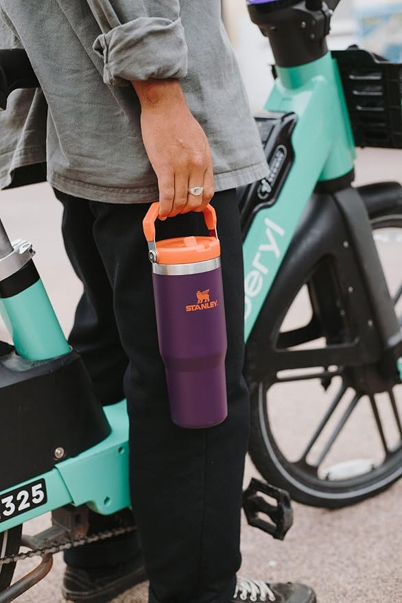 STANLEY IceFlow 2.0 Flip Straw Tumbler with Handle 30 oz | Twist On Lid and Flip Up Straw | Leakproof Water Bottle | Insulated Stainless Steel | BPA-Free | Soft Orchid