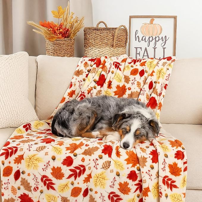 Fall Decor Throw Blanket: Soft Warm Autumn Leaves and Berries in Red Yellow Brown Beige Colors for Living Room Couch Bed Chair Dorm, Oversized 50" x 70" inches