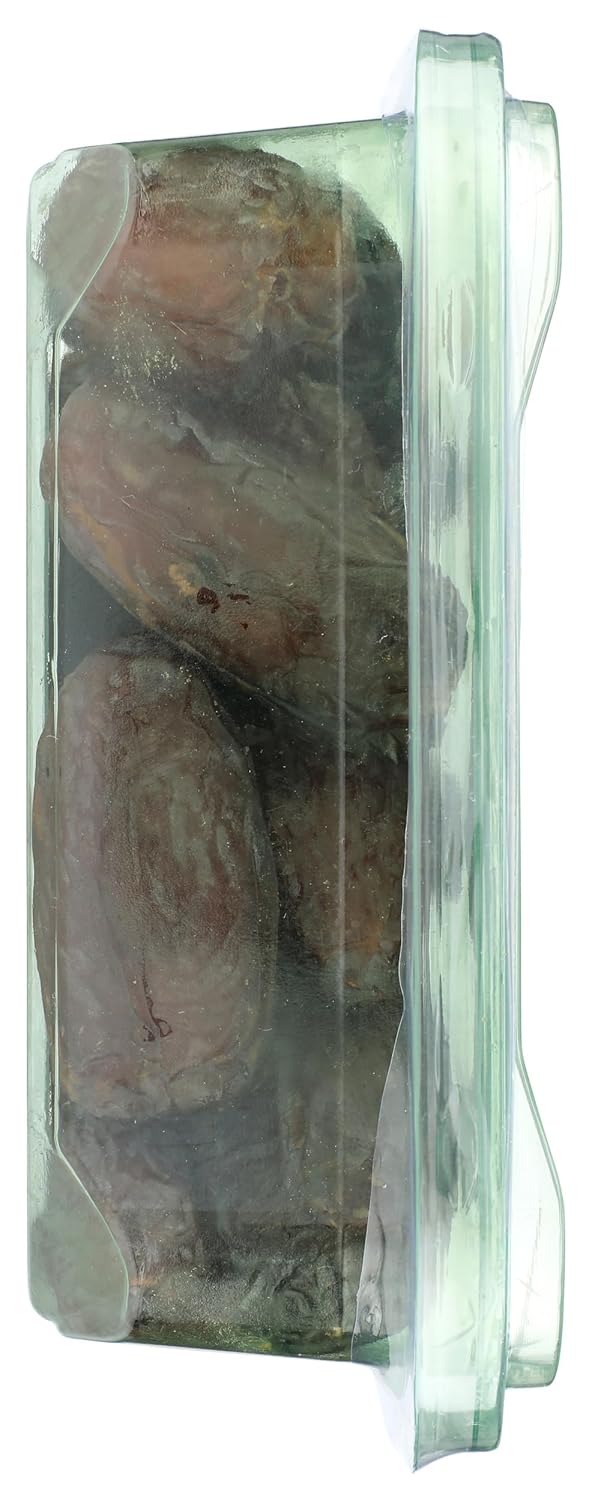 Natural Delights Fresh Medjool Dates (1 lb.) | Great Snacks for Adults and Kids | Non-GMO Verified | Superfood | No Sugar Added | Good Source of Fiber | 16 Vitamins & Minerals Packaging may vary