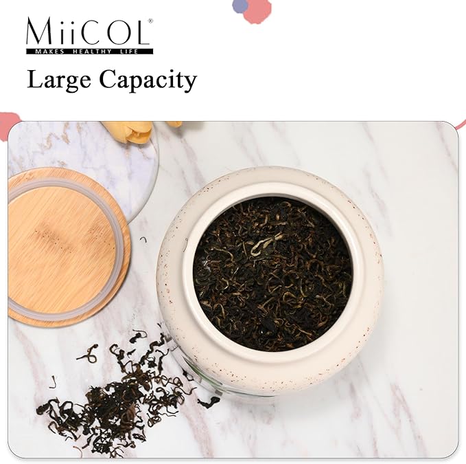 Miicol Ceramic Storage Canister, Tea Canister with Airtight Lid, Round Food Storage Container, Kitchen Storage Jar for Coffee Bean, Flour, Sugar, Pasta, Spices, 20 fl.oz