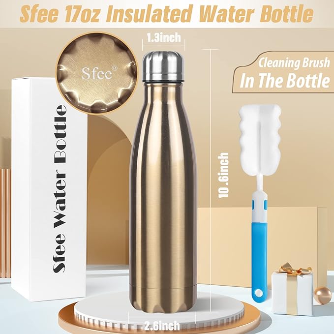 Sfee Insulated Water Bottle, 17 oz Stainless Steel Water Bottles, Double Wall Vacuum Reusable Water Bottles Leak Proof BPA-FREE Sports Bottle Cup Keep Hot&Cold for Running Gym Workout Cycling Kids
