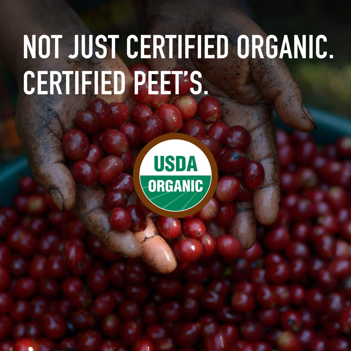 Peet's Coffee, USDA Organic Dark Roast Ground Coffee, 100% Arabica Coffee - French Roast 18 Ounce Bag