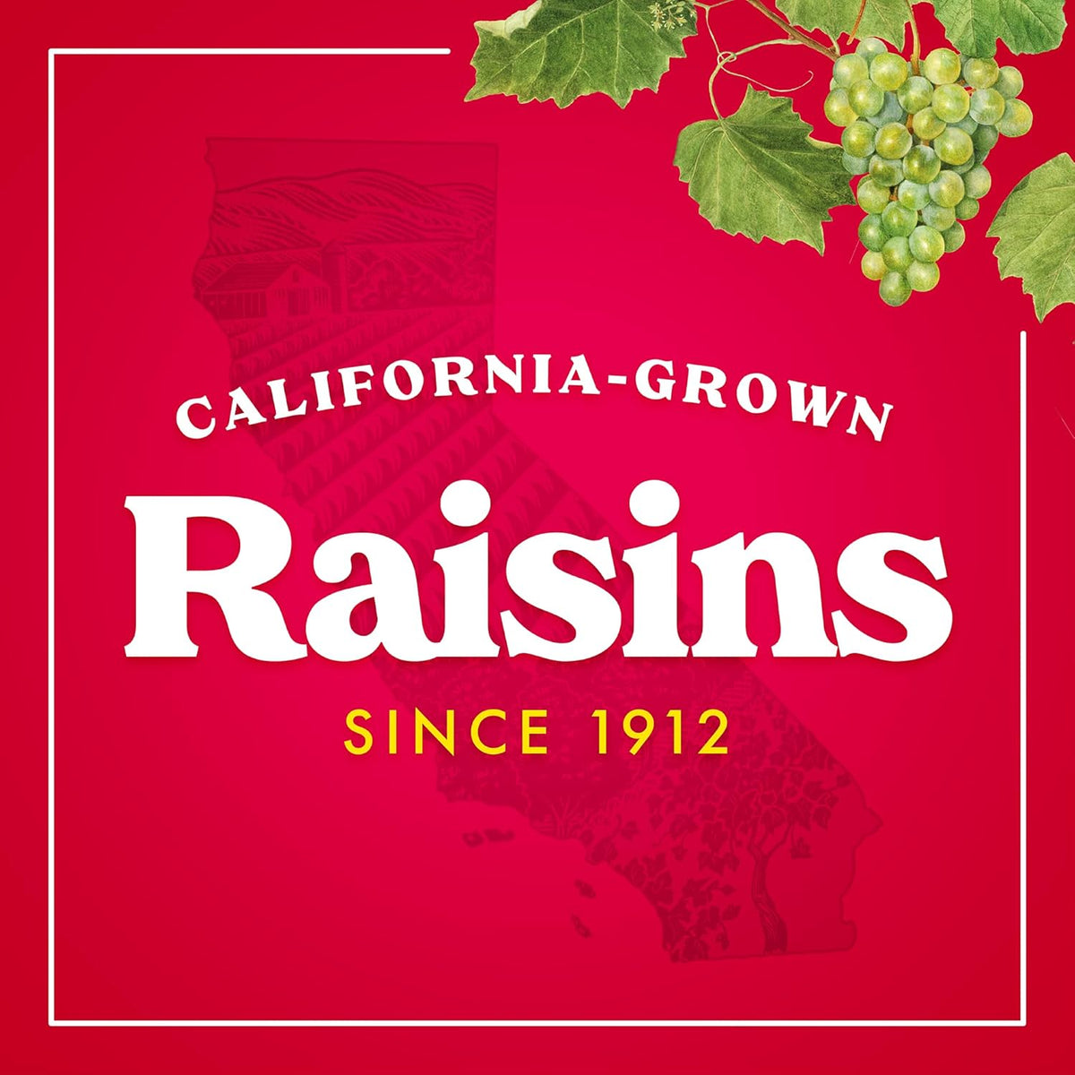 Sun-Maid Organic California Sun-Dried Raisins - 32 oz Resealable Bag - Organic Dried Fruit Snack for Lunches, Snacks, and Natural Sweeteners