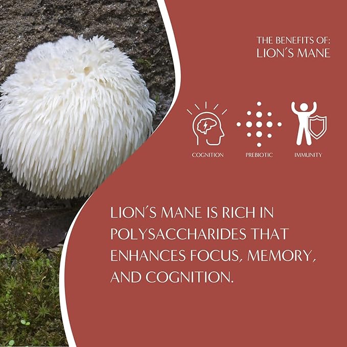 Teeccino Lion’s Mane Rhodiola Coffee Alternative - Rose - Adaptogenic Herbal Mushroom Coffee, Medium Roast, Caffeine Free, Prebiotic, Acid Free, All-Purpose Grind - 10 Oz