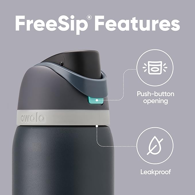 Owala FreeSip Insulated Stainless Steel Water Bottles with Straw, Set of 40oz and 32oz