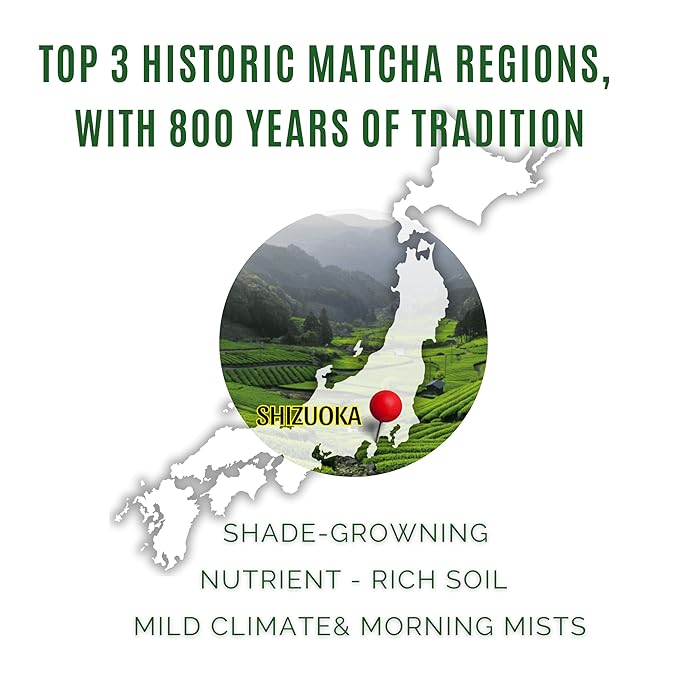 Satoen Authentic Japanese Ceremonial Grade Matcha Powder -100% Spring Premium First Harvest - Crafted for Matcha Straight Tea (500g/1.1lb)