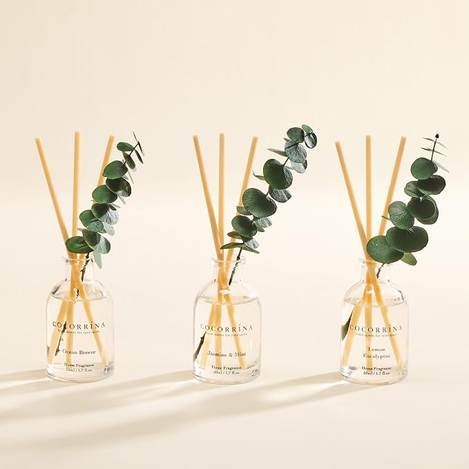 COCORRÍNA Eucalyptus Reed Diffuser Set of 3 - Lemon Eucalyptus, Jasmine & Mint, Ocean Breeze Scents, 1.7 fl oz Each, Total 5.1 oz, Scented Oil Diffusers for Home & Office