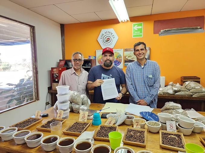 Tesoros Del Pais Green Unroasted Coffee Beans Ahuachapan, El Salvador Single Estate High Elevation (Wet Milled, 5 lb)