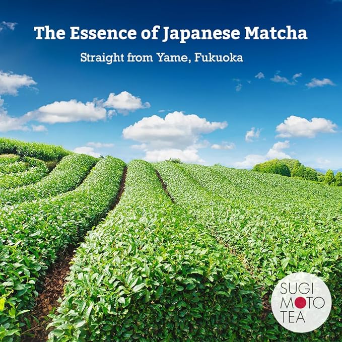 SUGIMOTO TEA Matcha Ceremonial Grade Japanese Matcha Powder "KOCHI" 1.05 oz (30 g)