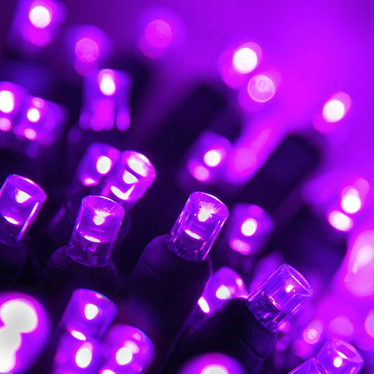 Wintergreen Lighting 70 Piece LED String Lights, 24 ft, Purple, Indoor-Outdoor Use, UL & Energy Star Certified, Model IOS-2-35-2
